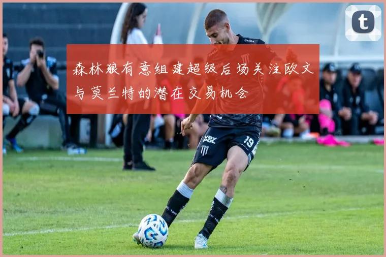 森林狼有意组建超级后场关注欧文与莫兰特的潜在交易机会